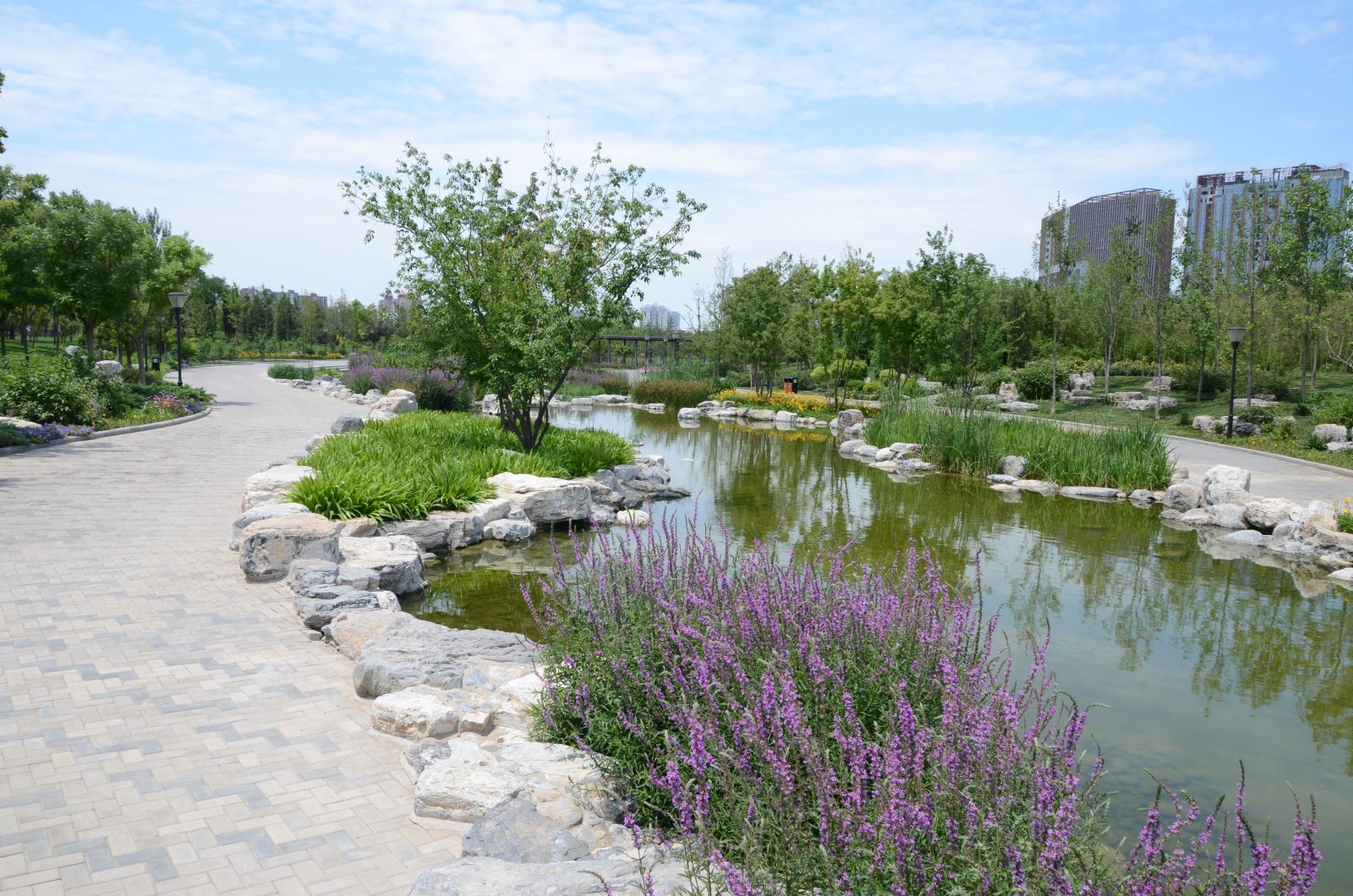 北京大望京公園規劃設計賞析