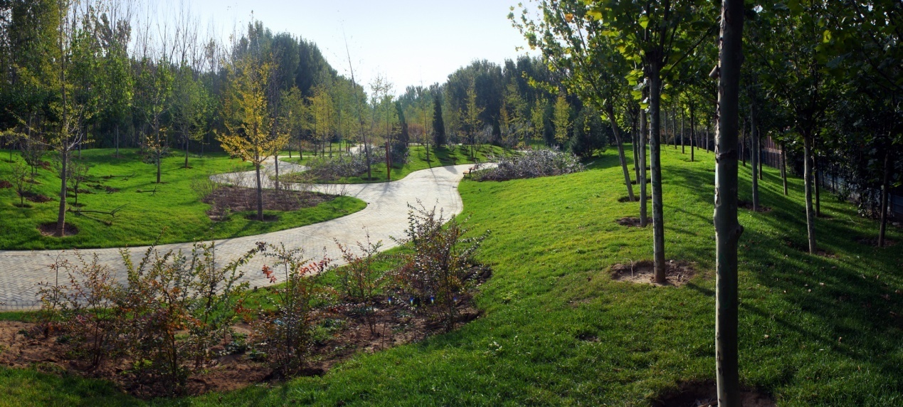 北京平谷新城濱河森林公園規(guī)劃設(shè)計(jì)