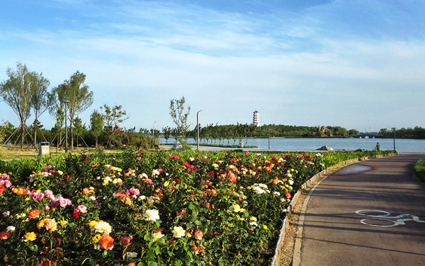 民豐湖景觀提升規(guī)劃及一期改造