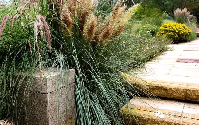 ECOLAND易蘭:成都麓湖紅石公園景觀設計