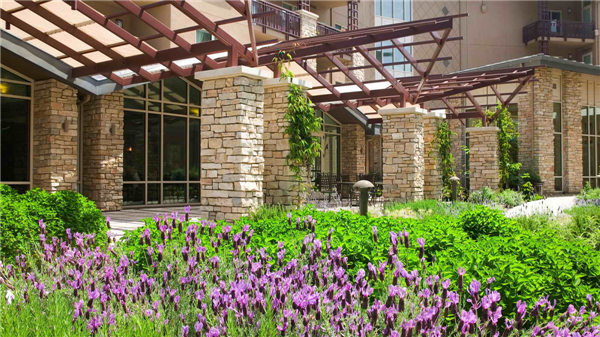 加州帕洛阿爾托“Vi生活”養(yǎng)老社區(qū)