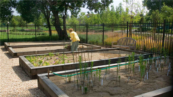 加州帕洛阿爾托“Vi生活”養(yǎng)老社區(qū)