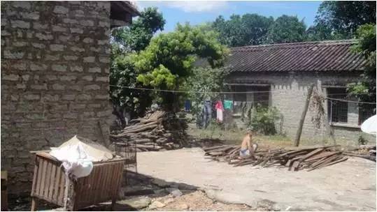 民宿設計：霸王嶺雨林老屋酒店改造項目