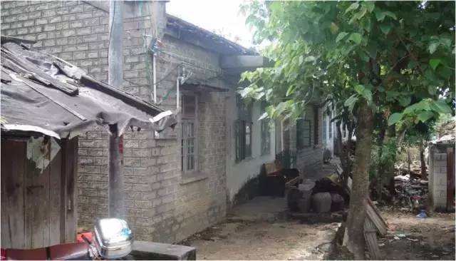 民宿設計：霸王嶺雨林老屋酒店改造項目