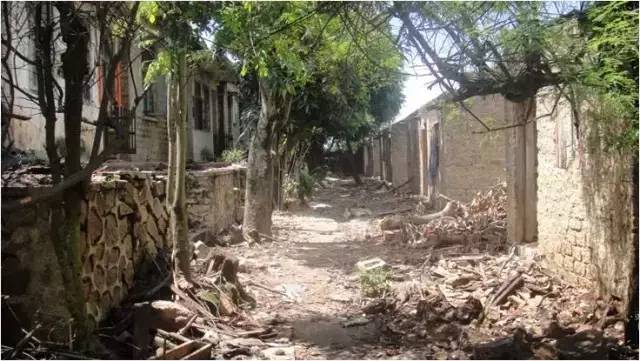 民宿設計:霸王嶺雨林老屋酒店改造項目