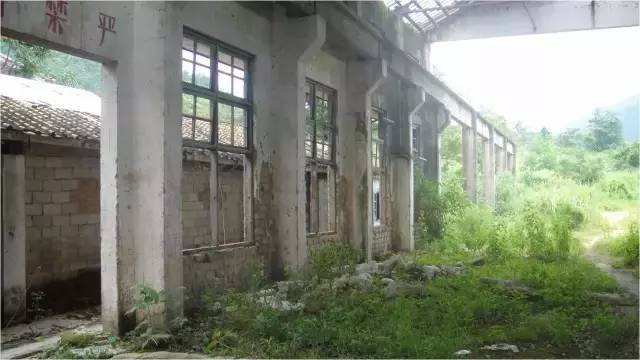 民宿設計:霸王嶺雨林老屋酒店改造項目