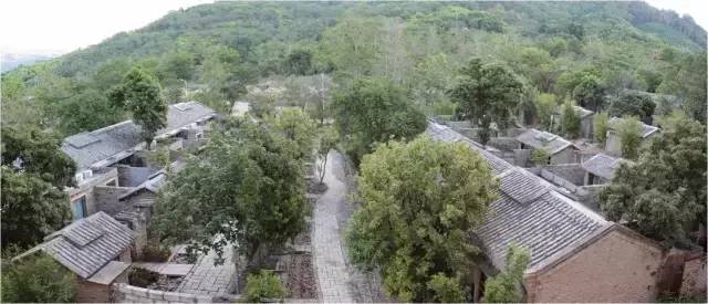 民宿設計:霸王嶺雨林老屋酒店改造項目