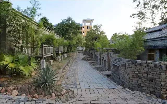 民宿設計：霸王嶺雨林老屋酒店改造項目