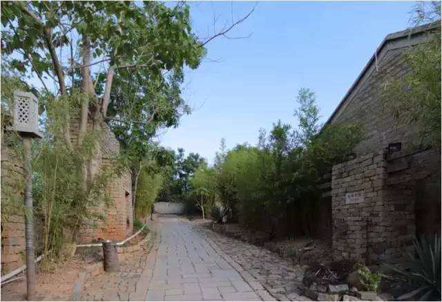 民宿設(shè)計(jì)：霸王嶺雨林老屋酒店改造項(xiàng)目