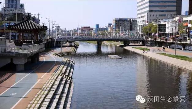 韓國兩個河流生態恢復案例