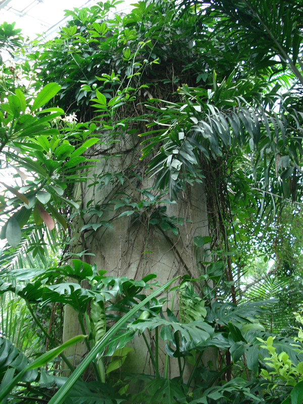 南京林業大學風景園林學院社會實踐活動（一）