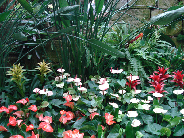 南京林業大學風景園林學院社會實踐活動（一）