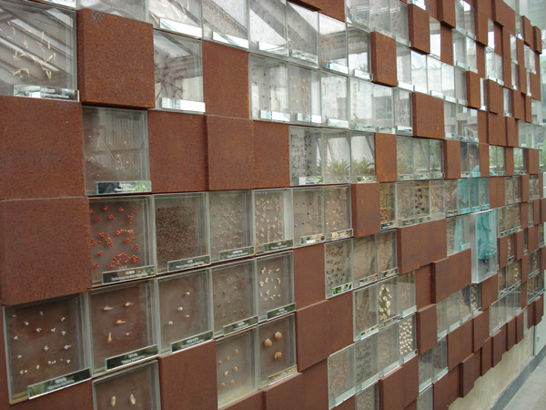 南京林業大學風景園林學院社會實踐活動（一）