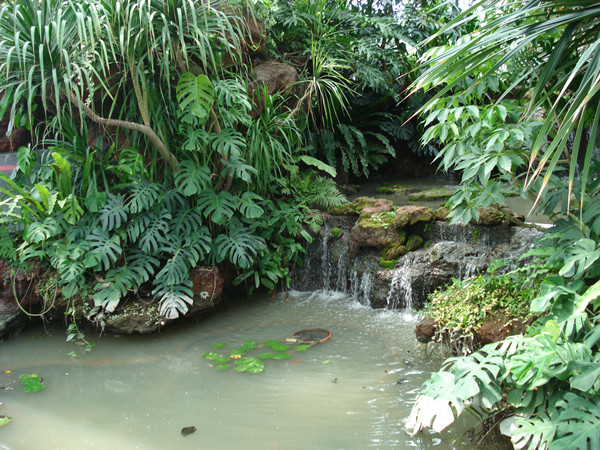 南京林業大學風景園林學院社會實踐活動（一）