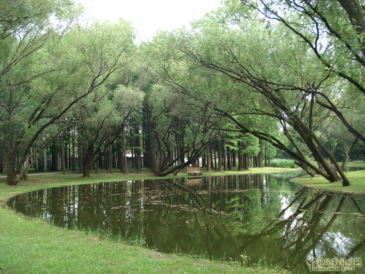 南京林業(yè)大學(xué)風景園林學(xué)院社會實踐活動(二)