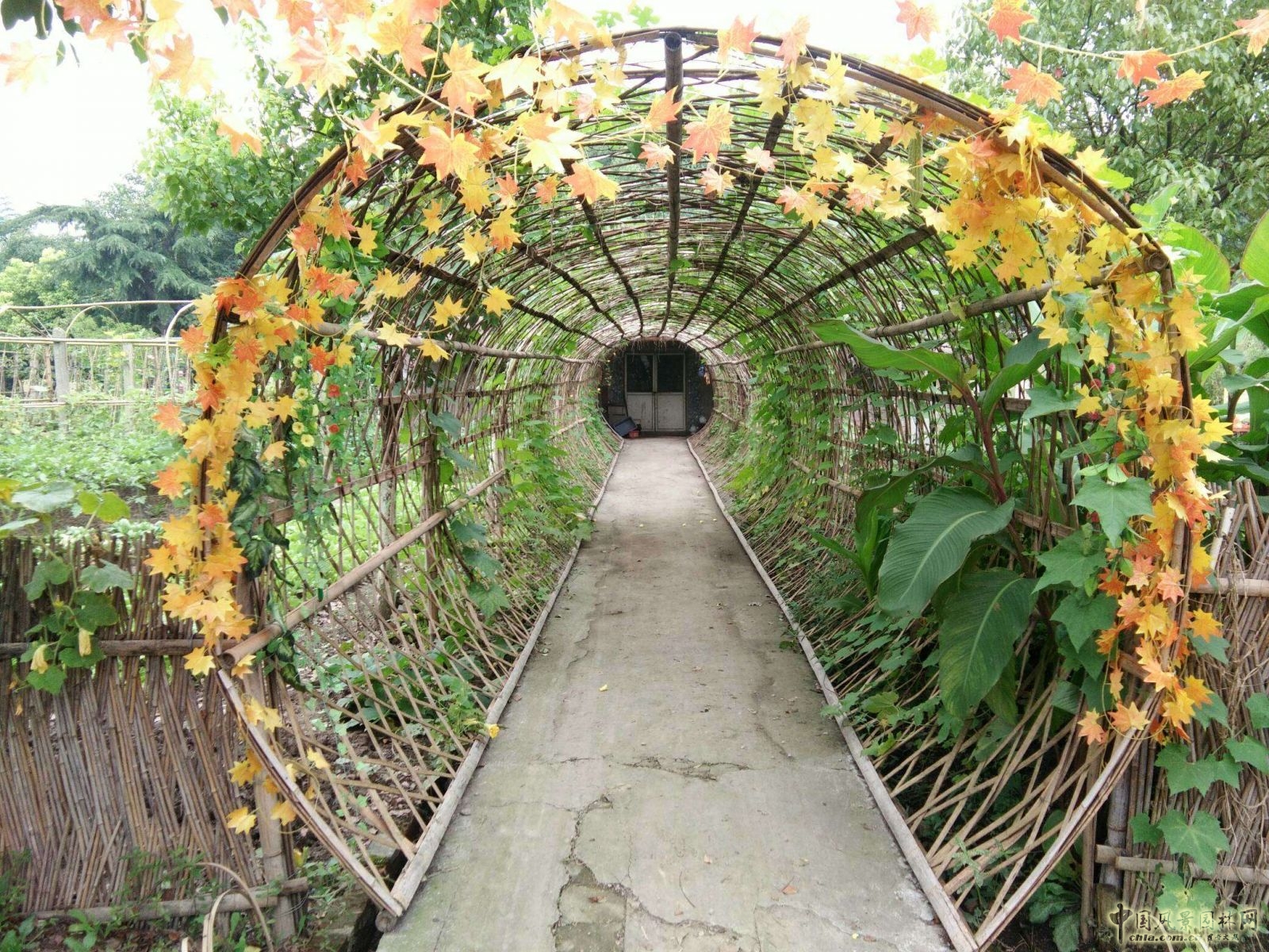 南京林業大學風景園林學院社會實踐活動（二）