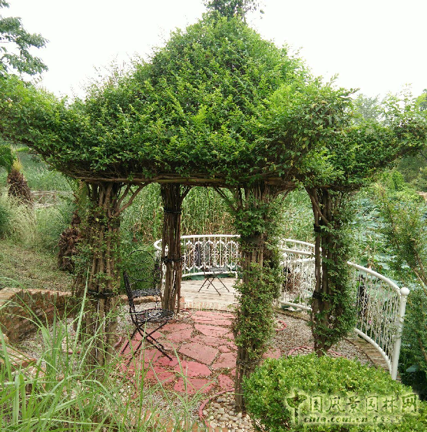 南京林業大學風景園林學院社會實踐活動（二）