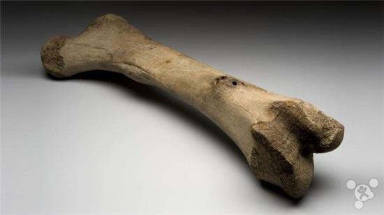 超硬“人造骨”可作建筑材料:可替代鋼筋水泥減少碳排放