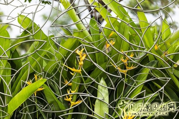 7月15日頭條：越南水岸精品住宅項(xiàng)目賞析