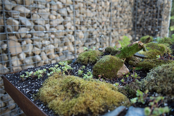 第17屆國際花園節亮相魁北克