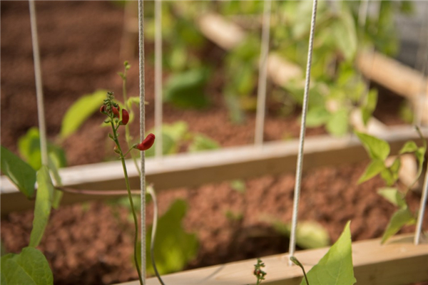 第17屆國際花園節亮相魁北克