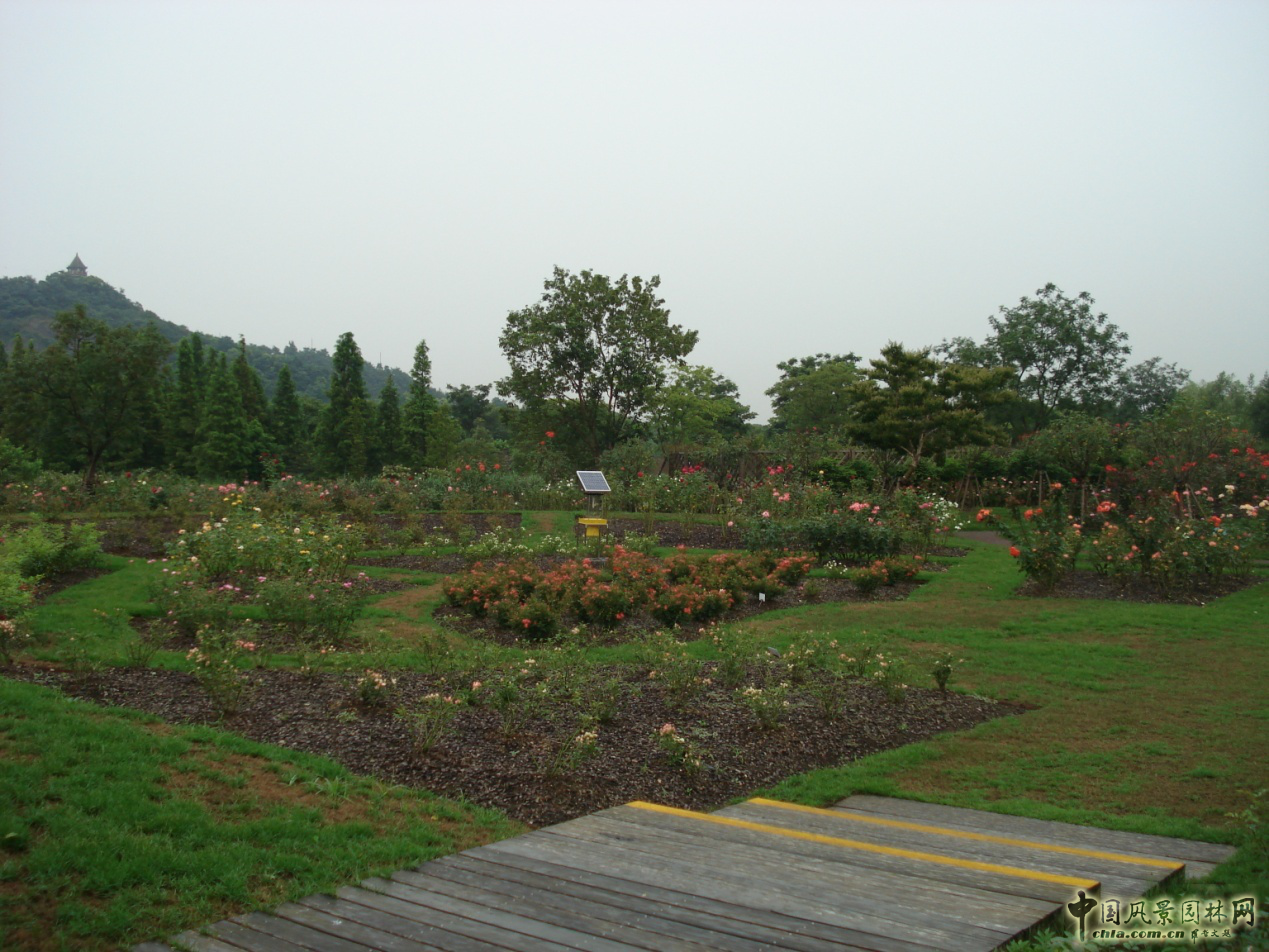 系列報道3：南林風景園林學院走進企業和學校