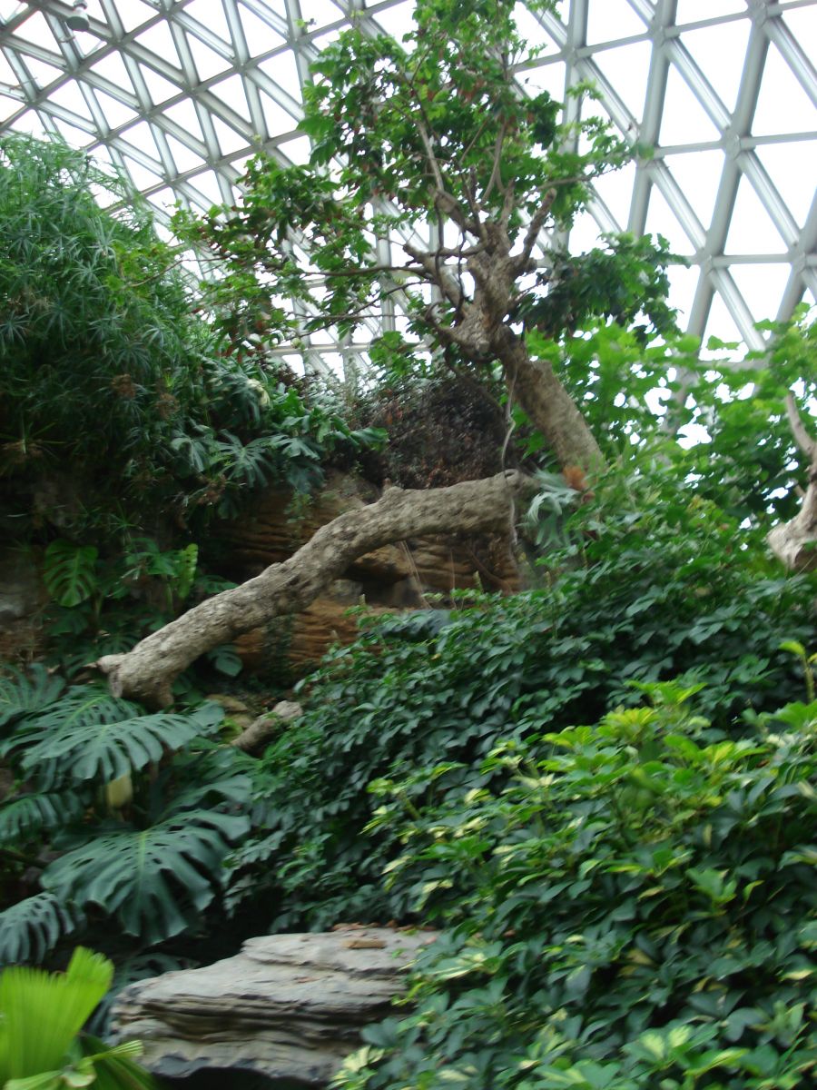 系列報道3：南林風景園林學院走進企業和學校