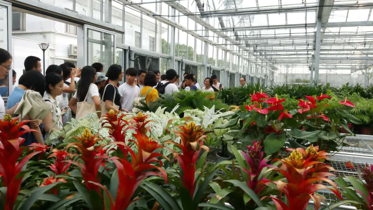 系列報(bào)道3：南林風(fēng)景園林學(xué)院走進(jìn)企業(yè)和學(xué)校