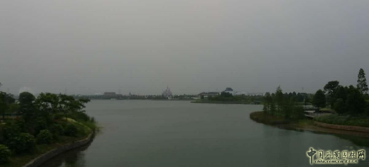 系列報道4:南林風(fēng)景園林學(xué)院走進(jìn)上海園林集團