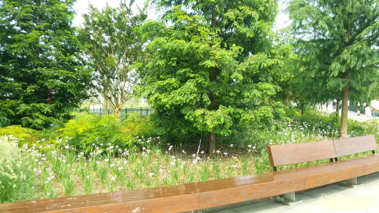 系列報道4:南林風景園林學院走進上海園林集團