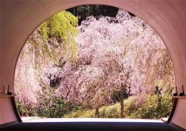 貝聿銘：日本滋賀縣秀美美術館景觀