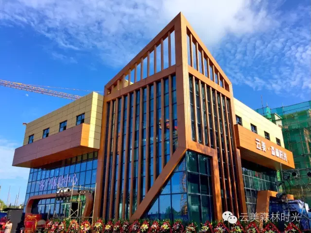 云投生態投資建設的重慶"云美?森林時光"旅游地產項目啟動預售