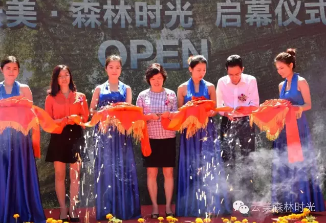 云投生態投資建設的重慶"云美?森林時光"旅游地產項目啟動預售