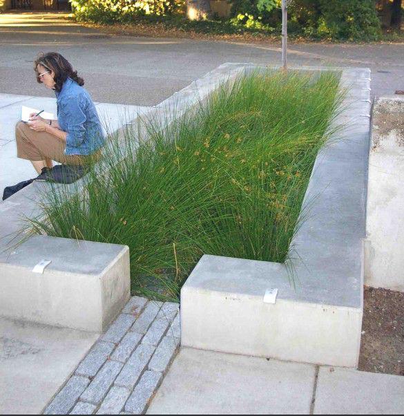 美國雨洪管理發展沿革及趨勢