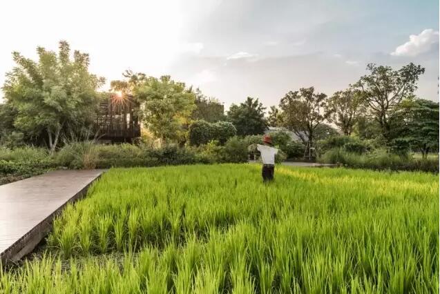 泰國公園:場地修復+產業整合的綠色夢想