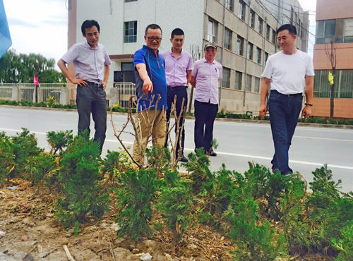 建咨園林公司開展工程質量安全生產大檢查