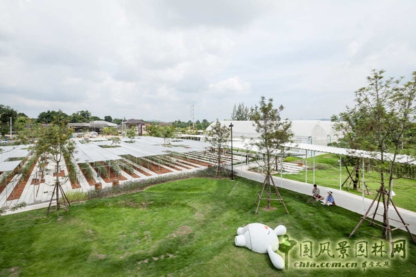 泰國Coro項目一期工程賞析