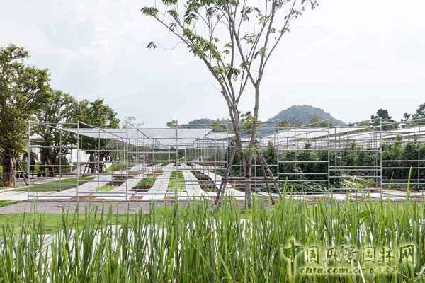 泰國Coro項目一期工程賞析