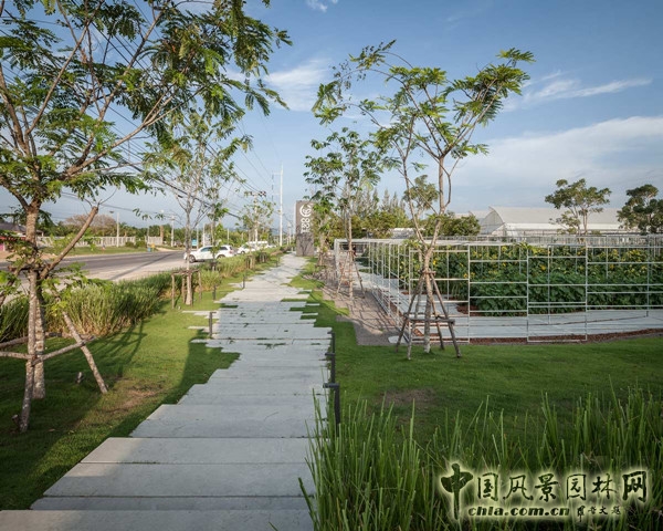 泰國(guó)Coro項(xiàng)目一期工程賞析