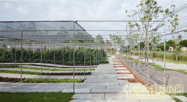 泰國(guó)Coro項(xiàng)目一期工程賞析