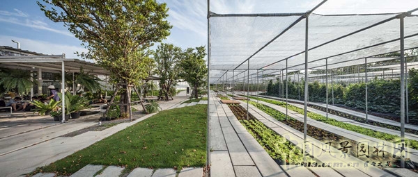 泰國Coro項目一期工程賞析