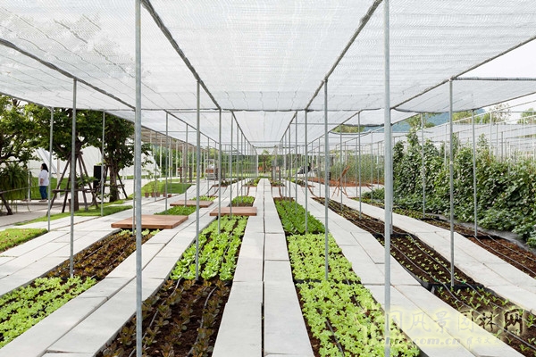 泰國Coro項目一期工程賞析