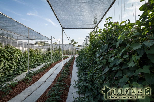 泰國Coro項目一期工程賞析