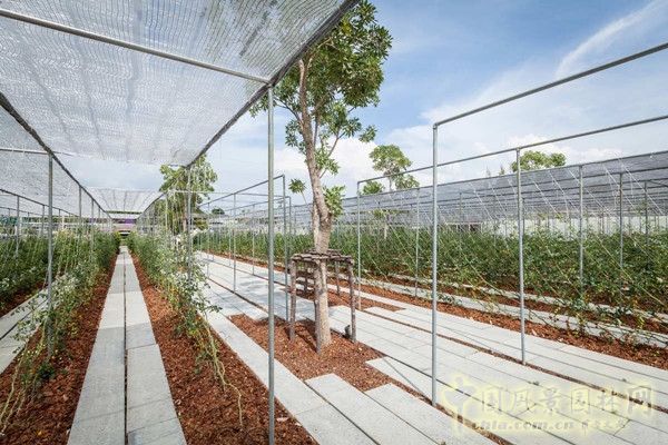 泰國Coro項目一期工程賞析