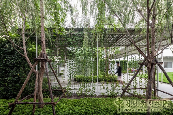 泰國Coro項目一期工程賞析