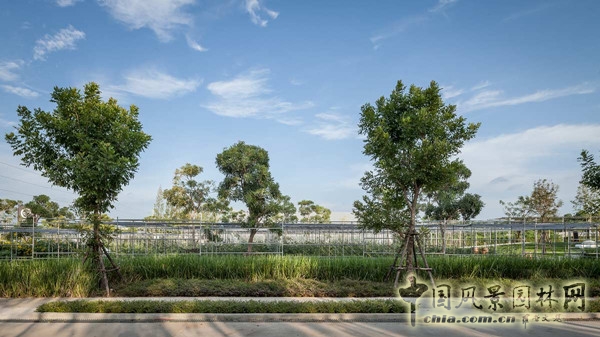 泰國Coro項目一期工程賞析