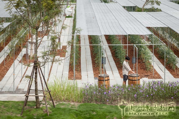 泰國Coro項目一期工程賞析