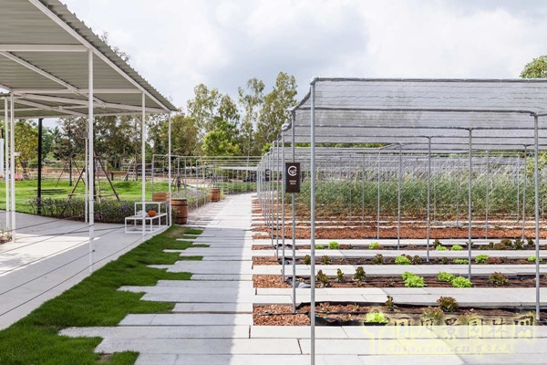 泰國Coro項目一期工程賞析