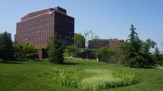 青島中德生態園德國企業中心景觀設計