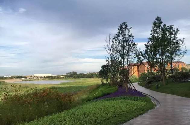 青島中德生態園德國企業中心景觀設計